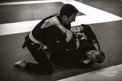 DSC_0255bwweb