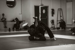 DSC_0359bwweb